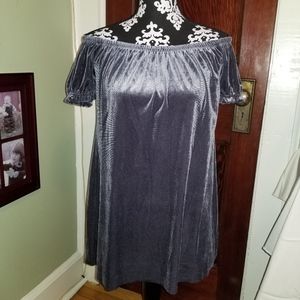 *Gorgeous* Silver Velour Dress
